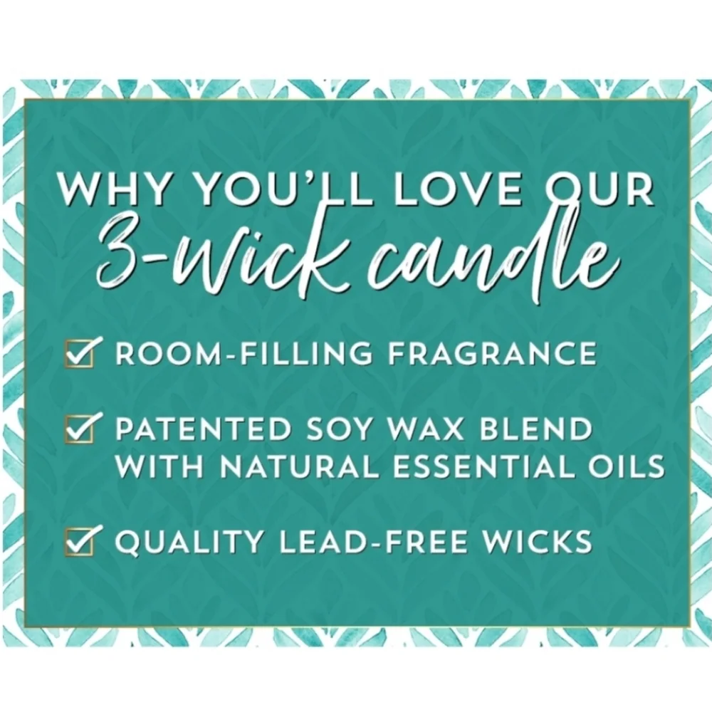 🛍BOGO 50% OFF❄️🍑🕯NWT‼️ White Barn "Snowy Peach Berry" 3-wick Candle - Picture 8 of 10